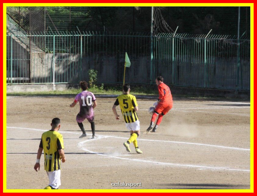 190310 Cephal_Torrenov 071_tn.jpg